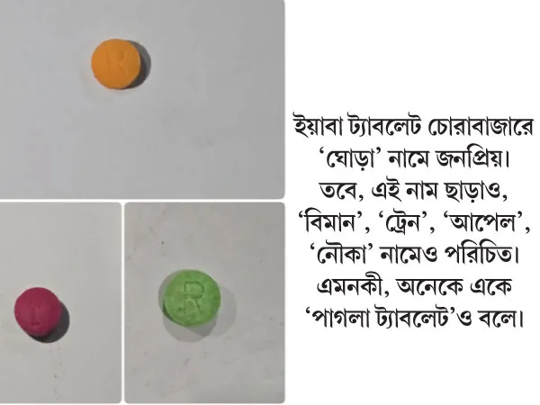 বাংলাদেশ সীমান্ত দিয়ে ঢুকছে রঙিন &lsquo;ঘোড়া&rsquo;!
