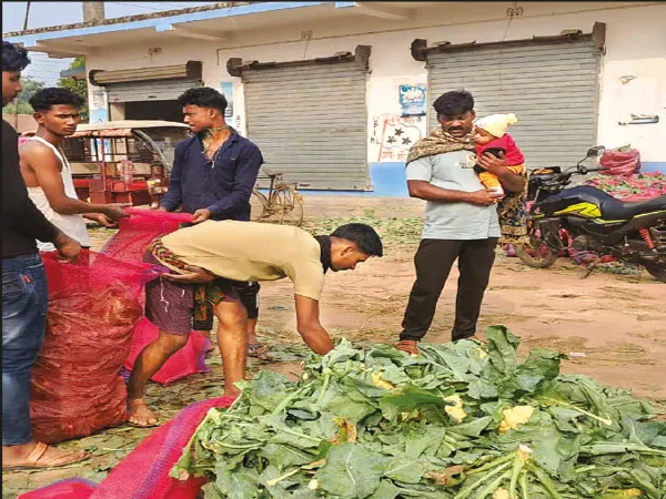 জোগান প্রচুর, পূর্বস্থলীর পাইকারি বাজারে তিন টাকায় ফুলকপি, মাথায় হাত চাষিদের