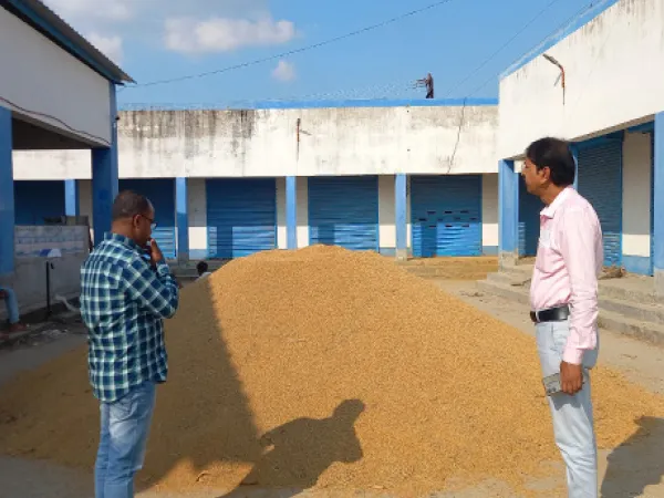 কিষানমাণ্ডিতে ত্রিশের বদলে দশ কুইন্টাল ধান কেনার অভিযোগ