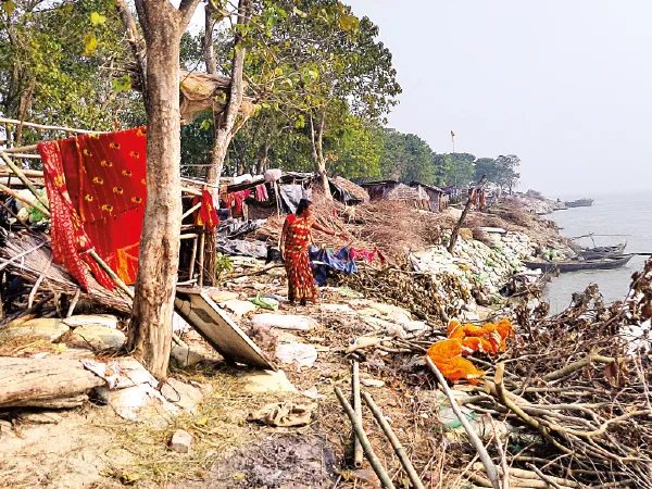 ভাঙনের আতঙ্ক কাটছে না, শীতের রাতে বাঁধে ঠাঁই কাঞ্চনদের