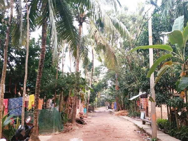 বসিরহাটে সাপের উপদ্রবে বিকেল হলেই গৃহবন্দি মানুষ
