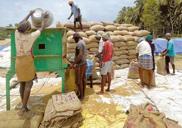দুয়ারে ধান কেনায় জোর, খুশি চাষিরা