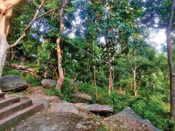 পথ আর পাহাড়ের টানে