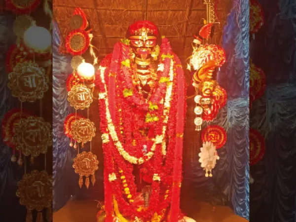 কাটোয়ায় পাগলি মা কালীর পুজো ঘিরে উন্মাদনা ভক্তদের