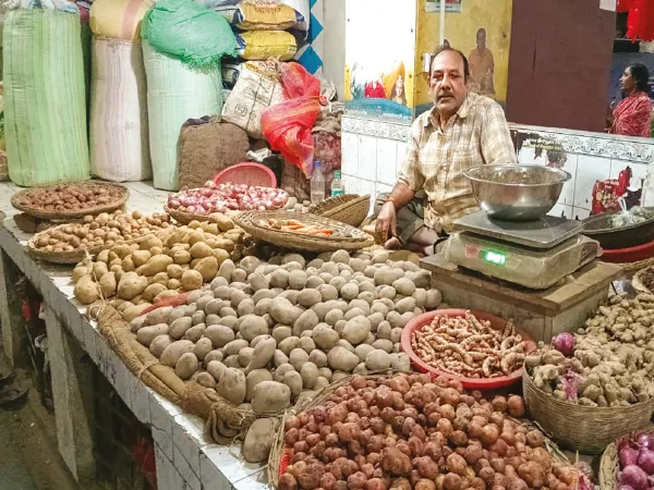 সরকারি কাউন্টারে উপচে পড়া ভিড়, রোজ বিকচ্ছে ১০০ কুইন্টাল আলু