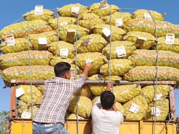 হিলি সীমান্তে আটক আলুবোঝাই তিন লরি