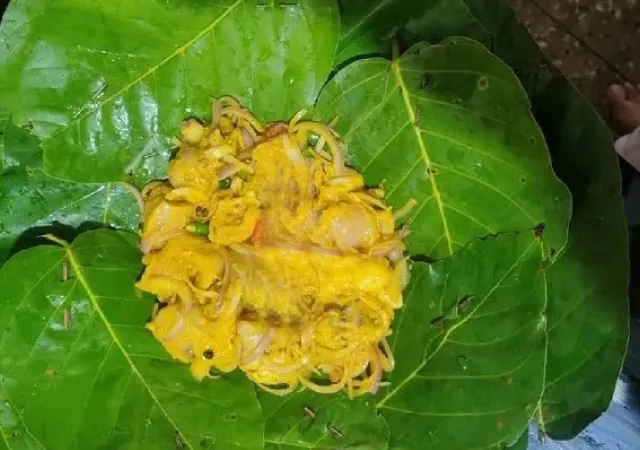 পুরুলিয়ার নিজস্ব খাদ্যাভাসে থাবা চাইনিজের ঘুরতে এসে পর্যটকরা আজও খোঁজেন পাতাপোড়া মাংস