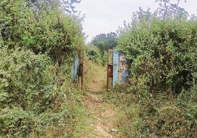 বাবুইশোলের শিশু উদ্যানটি নষ্ট হয়ে এখন&nbsp;জঙ্গল, খেলার সামগ্রী চুরি, সংস্কারের দাবি