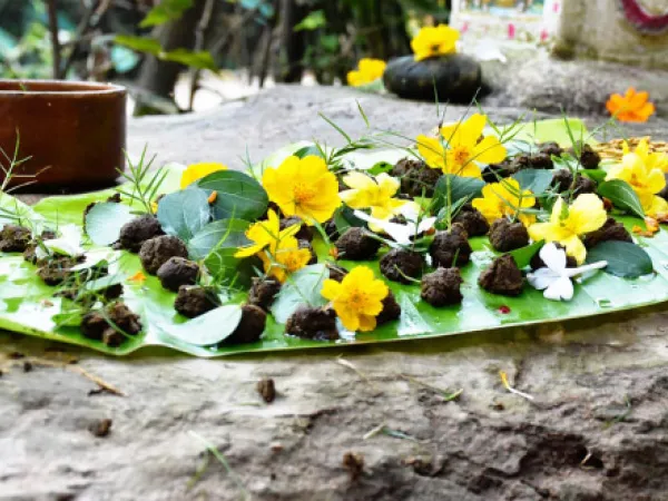 পৌড়াষ্টমী লোকাচার