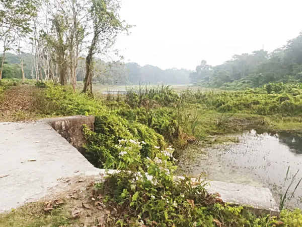 পাতলাখাওয়ায় চলছে আবাসস্থলের কাজ, কবে আসবে গন্ডার, জানেই না বনদপ্তর