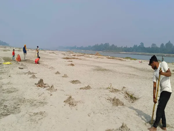 চর জেগে উঠেছে, শশা-তরমুজ চাষে স্বপ্ন দেখছেন ভাঙন দুর্গতরা
&nbsp;