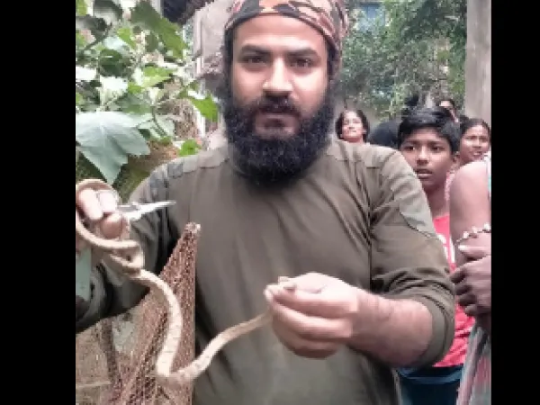 আমতায় উদ্ধার বিরল ক্যাট স্নেক