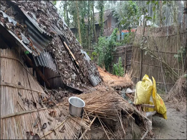 ঘর ভাঙছে হাতি, কাঁঠাল গাছে উঠে দেখলেন গৃহস্বামী নিমাই