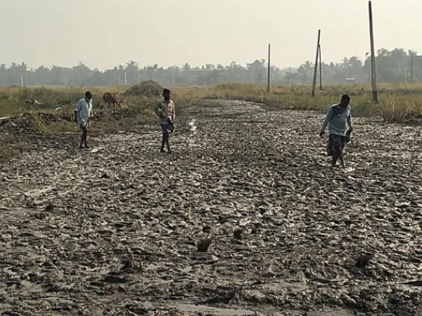 গঙ্গাসাগর মেলার নজরদারিতে এবার এআই প্রযুক্তির ক্যামেরা, ভিড় বাড়লে পাঠাবে সঙ্কেত