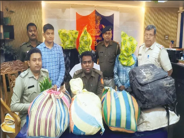 কৃষ্ণনগর শহরেই উত্তরবঙ্গের গাঁজার চাহিদা বেড়ে চলেছে, সক্রিয় সিন্ডিকেট