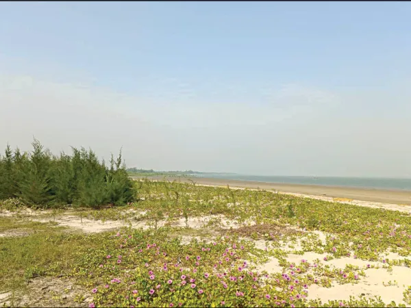 নামখানার নির্জন সমুদ্র সৈকতে গড়ে উঠছে নতুন পর্যটন কেন্দ্র
