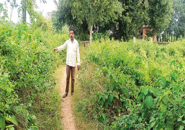 বন্ধ ১০০ দিনের কাজ, জঙ্গলে ভরেছে দুর্গাপুর-ফরিদপুরের একাধিক শ্মশান