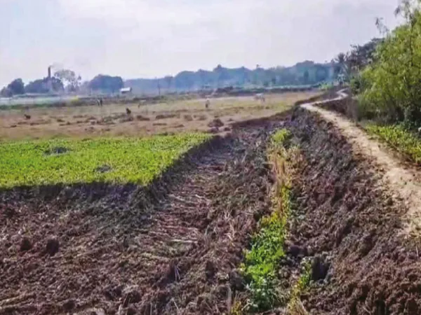 মাফিয়াদের তাণ্ডবে নষ্ট হচ্ছে চাষের জমি, হাড়োয়ায় বিক্ষোভ কৃষকদের