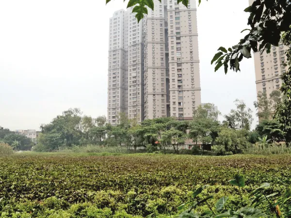 ১০ বছর পর ফের বিক্রমগড় ঝিল সংস্কার শুরু, সাড়ে ৩ কোটি বরাদ্দ