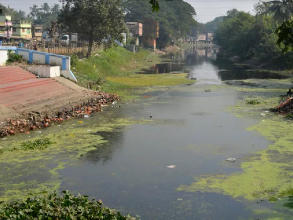 শ্মশানের কলসি-প্লাস্টিক রোজ পড়ছে, সংস্কারে কোনও নজর নেই প্রশাসনের