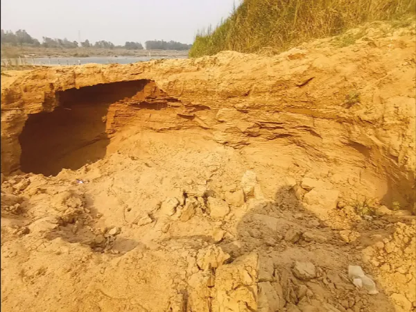 অজয়ের পাড়ে কৃষিজমিতে গর্ত করে বালি লুট কাটোয়ায়