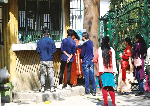 বছরের শেষ শনিবার পার্ক, ফরেস্টে ভিড়