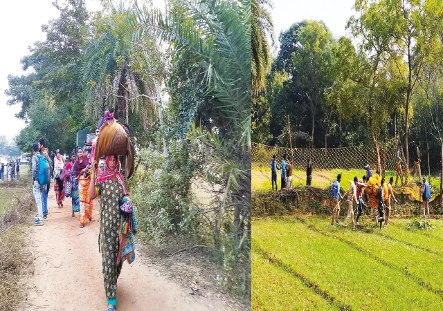 বাসিন্দাদের জন্য মুড়ি, চানাচুরের ব্যবস্থা, বাঘের আতঙ্কে হাঁড়ি চড়ল না রানিবাঁধের গোঁসাইডিতে