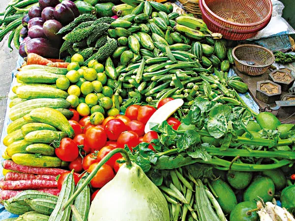 অনুকূল আবহাওয়ার কারণে শীতের সব্জির বাম্পার ফলন