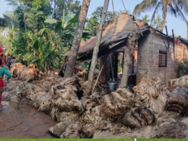 স্বরূপনগরে পাটের গোডাউন পুড়ে ছাই