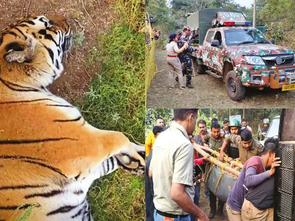 জিনাতের আতঙ্ক কাটল মুকুটমণিপুর, পিকনিকে ব্যাপক ভিড়