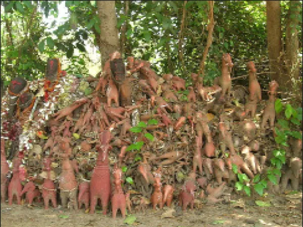 ব্যাঘ্রদেবতা বাঘুত ঠাকুরের কৃপায় জিনাতের প্রাণরক্ষা, বিশ্বাসে জঙ্গলমহলের গরামথানে পুজোর ঢল