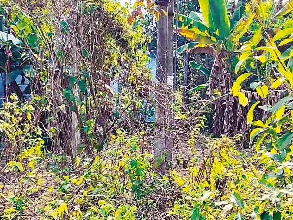 বীরসিংহ গ্রামীণ হাসপাতালে প্রাচীর না থাকায় বসছে নেশার আসর