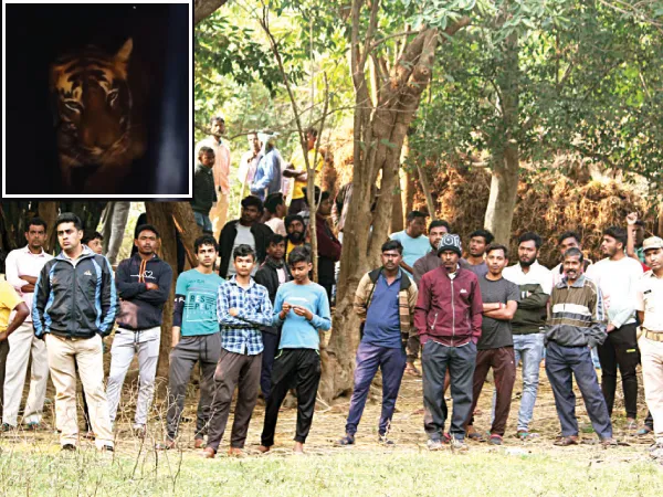 ঘন জঙ্গলে জিনাতের সন্ধান পেতে কৃত্রিম মেধার ব্যবহার
