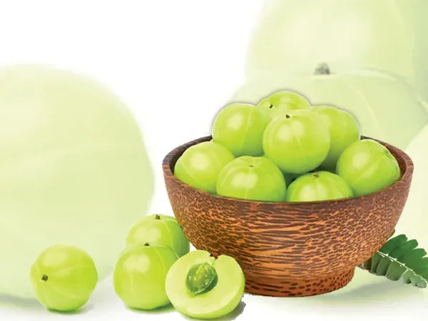 রোজ কেন আমলকী খাবেন?