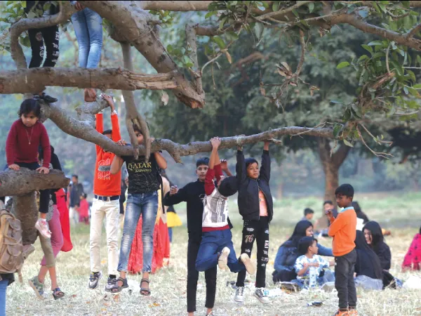 বছরের প্রথম দিন কলকাতা ও দক্ষিণবঙ্গে ফের কনকনে ঠান্ডা