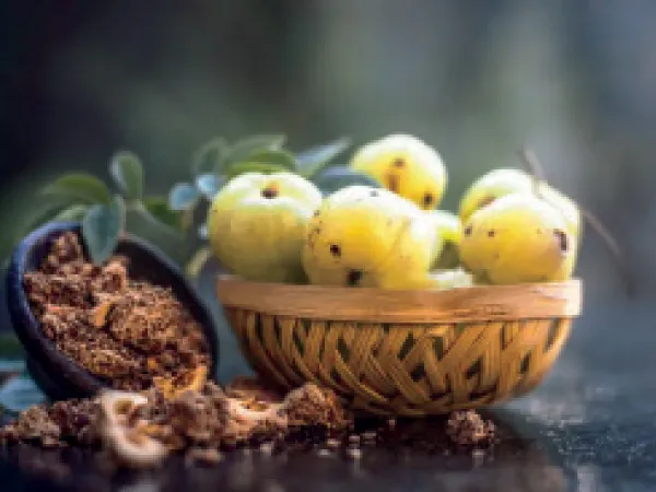 শীতে কোন কোন অসুখ থেকে দূরে রাখবে আমলকী?&nbsp;