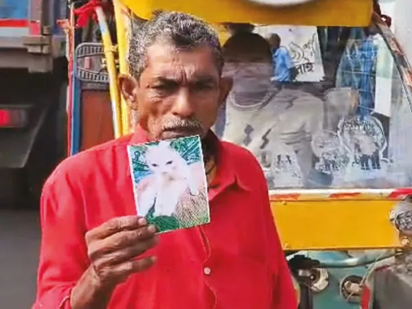 হারিয়ে গিয়েছে পোষা বিড়াল, খুঁজে দিলে মিলবে দশ হাজার টাকা পুরস্কার