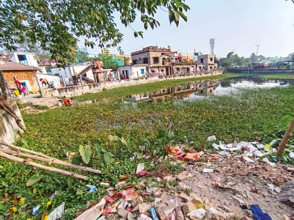 বোলপুরে বুজে যেতে বসেছে পুকুর, সংস্কারের দাবি স্থানীয় বাসিন্দাদের
