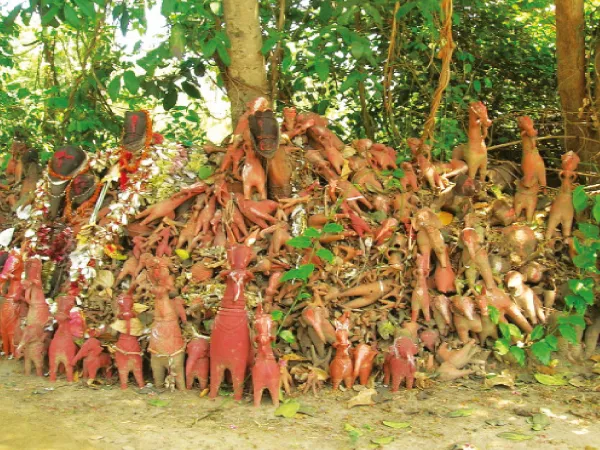 জঙ্গলমহলের বাঘুত ঠাকুর
&nbsp;