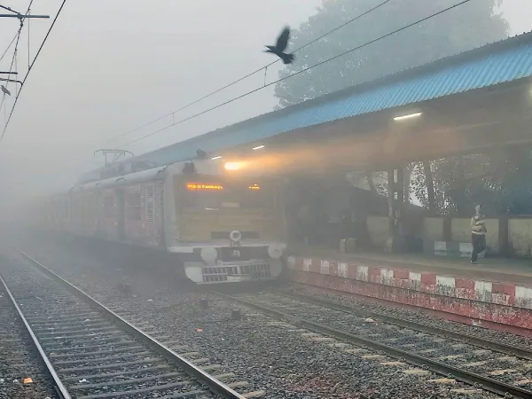 ঘন কুয়াশায় ফের ব্যাহত বিমান সহ একাধিক পরিষেরা&nbsp;
&nbsp;