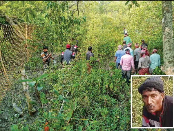 ৪ ফুট লাফ দিয়ে সামনে হাজির বাঘ, পালিয়ে প্রাণরক্ষা লাঠিধারী বনকর্মীর