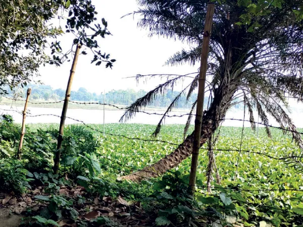 ২ বছর আগে জমি অধিগ্রহণ করলেও সীমান্তে কাঁটাতারের বেড়া দেয়নি কেন্দ্র