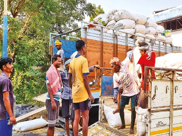 বাঁকুড়ায় ধান বিক্রিতে হয়রানি, বাড়ছে ক্ষোভ