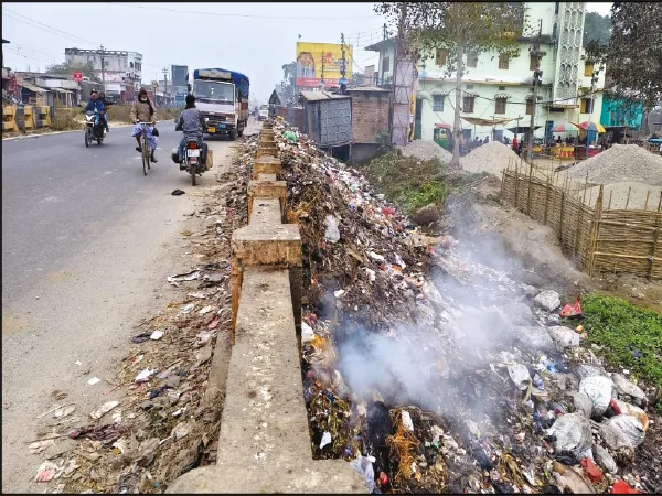 পাঞ্জিপাড়ায় জাতীয় সড়কের পাশে বর্জ্য, পঞ্চায়েতের ভূমিকা নিয়ে প্রশ্ন