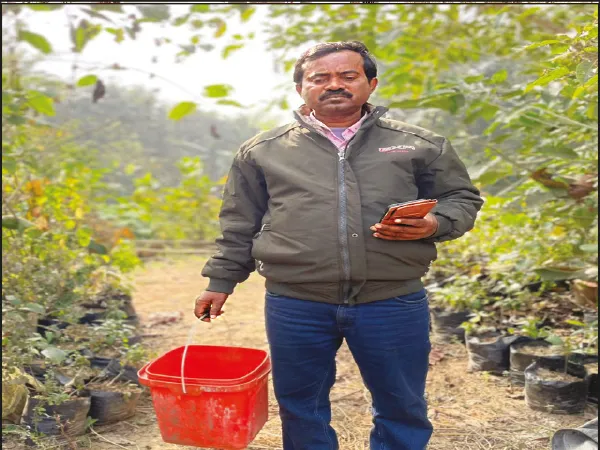 মায়ের স্মৃতিতে লাগিয়েছেন ১০ হাজার গাছ, লক্ষ্য ১ লাখ