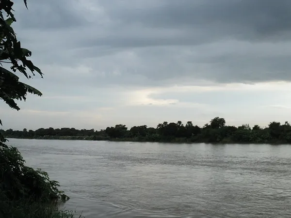শীতের রাতে কনকনে ঠান্ডা জল সাঁতরে ভাগীরথী পার, বাজি হিসেবে জিতলেন স্মার্টফোন