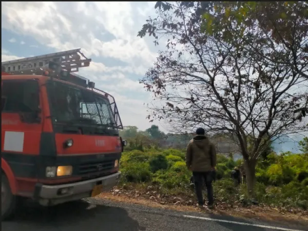 টিপুখোলাগামী রাস্তার পাশের জঙ্গলে অগ্নিকাণ্ড