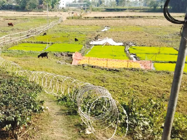 সীমান্তে বেড়া দিতে ফের বাধা বিজিবির