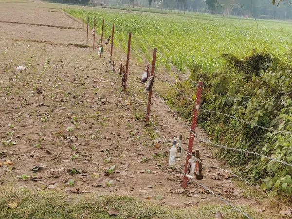 পাচার ঠেকাতে কাঁটাতারের বেড়ায় কাচের বোতল ঝোলাচ্ছে বিএসএফ