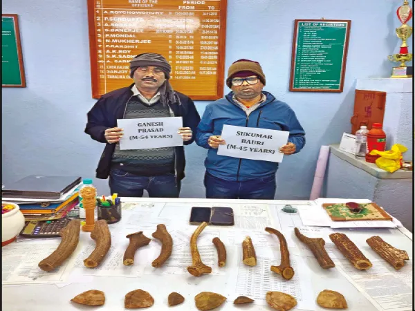 সম্বরের শিং, প্যাঙ্গোলিনের আঁশ উদ্ধার কুলটিতে, ধৃত ২